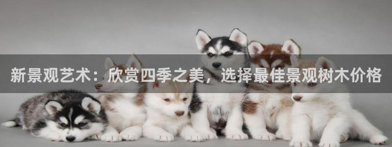 摩根娱乐宝下载