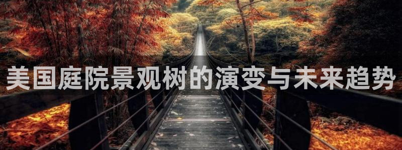 摩根娱乐 实c力77310