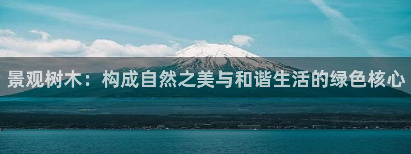 摩根国际商务娱乐会所