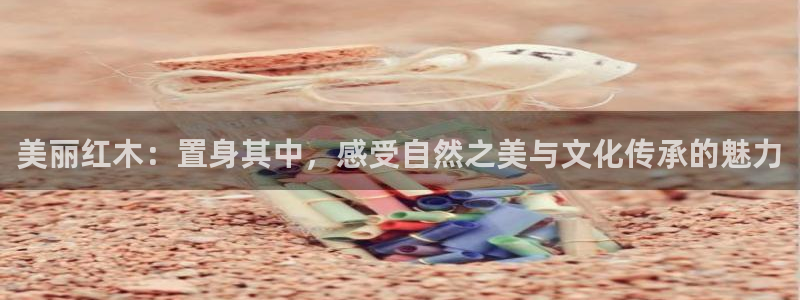 摩根国际娱乐宝书籍