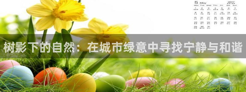 摩根娱乐宝怎么盈利