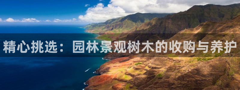 摩根娱乐百家号