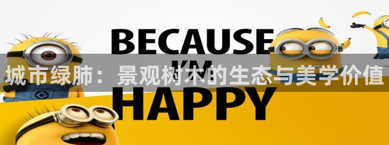 摩根娱乐文化有限公司