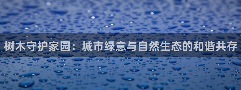 摩根合约娱乐宝