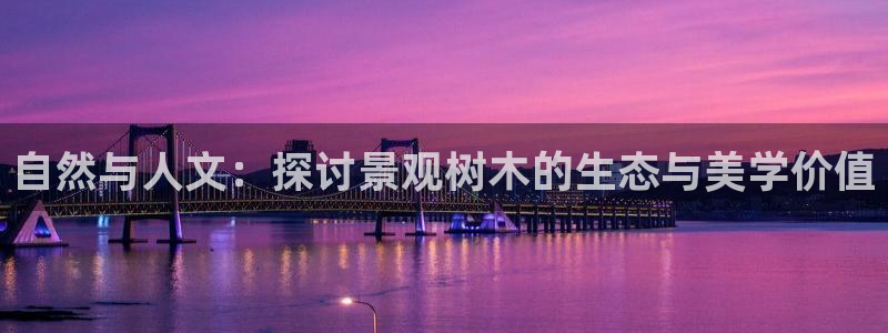 摩根国际商务娱乐会所