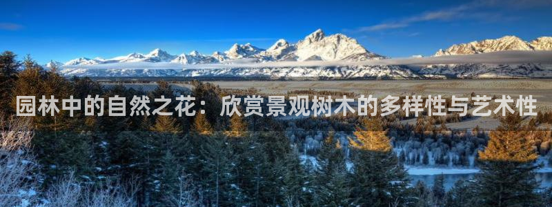 摩根士丹利娱乐