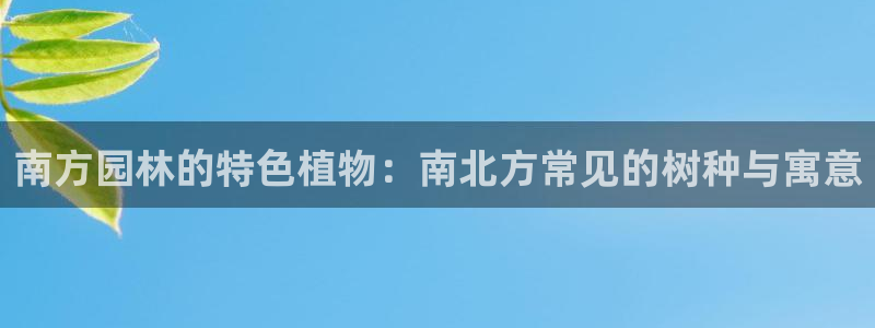 摩根士丹利凯撒娱乐
