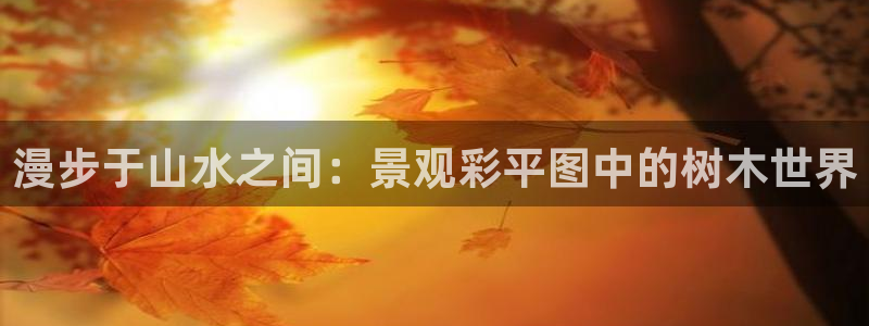 摩根娱乐宝官网下载