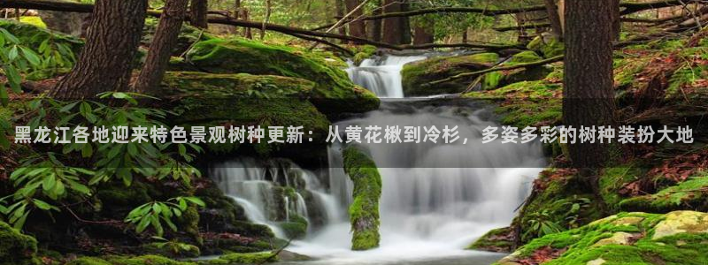 摩根娱乐是什么模式