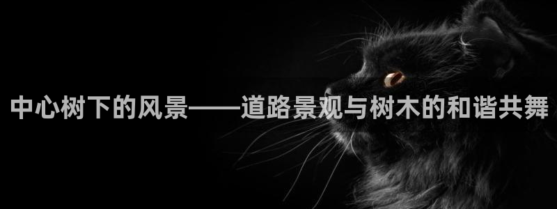 摩根大通会员买金沙娱乐