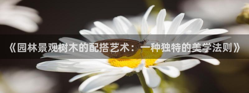 摩根娱乐开户 总s管50015