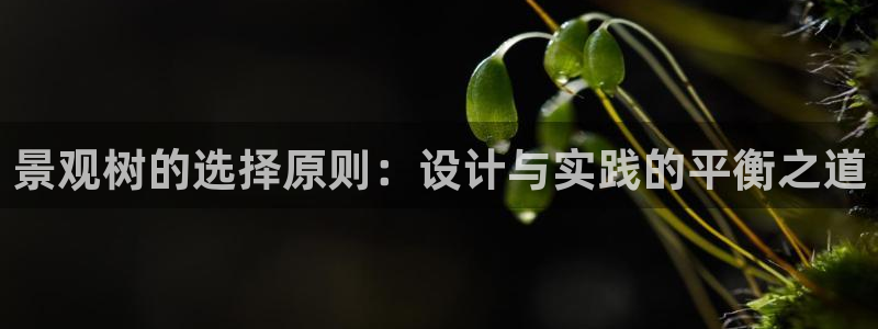 摩根娱乐宝官网