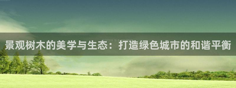 摩根娱乐dj
