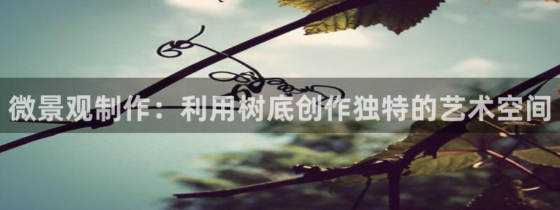 摩根娱乐宝可靠吗