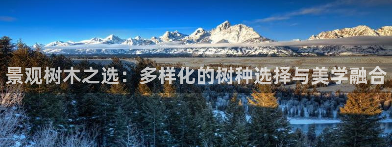 摩根合约娱乐宝