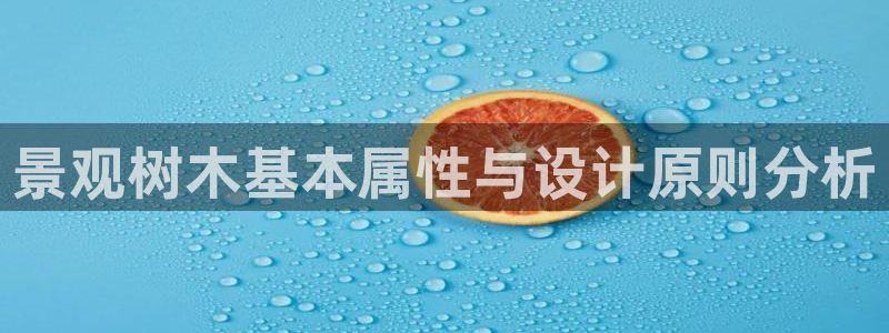 摩根娱乐宝是诈骗吗