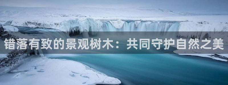 华视娱乐摩根王琛