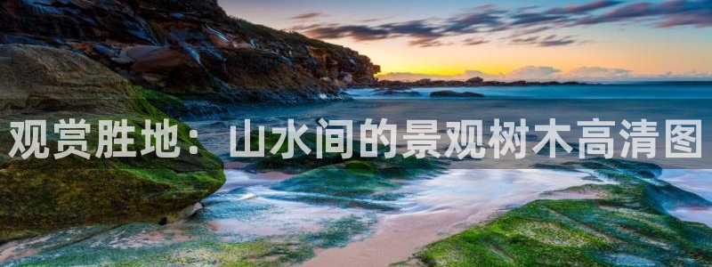 摩根国际亚太娱乐宝