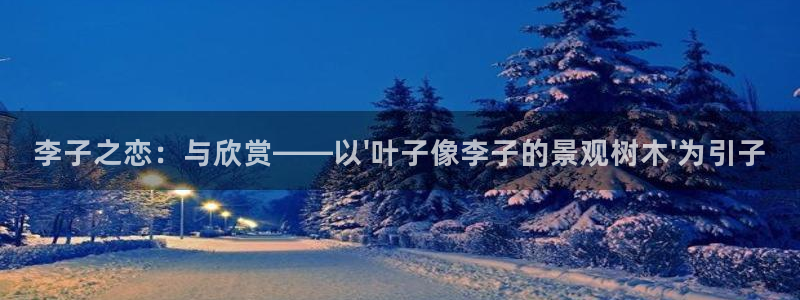 摩根娱乐怎么样