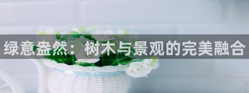 芜湖摩根一百有哪些娱乐