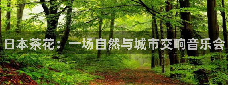 摩根娱乐宝 知道吗