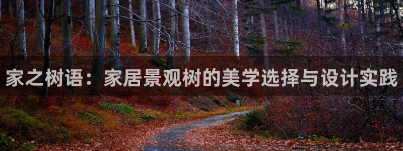 泉州白宫摩根娱乐会所