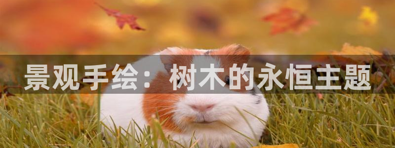 摩根娱乐宝平台下载