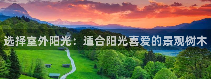 义乌摩根娱乐会所