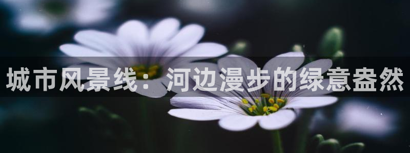 摩根娱乐宝.知道吗
