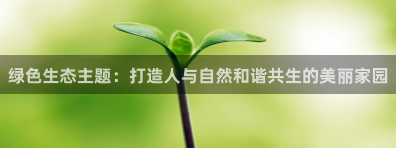 摩根娱乐宝下载