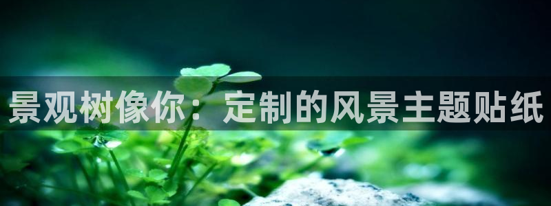 摩根国际娱乐会所电话