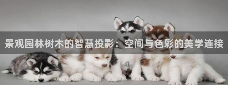 泉州摩根娱乐会所招聘