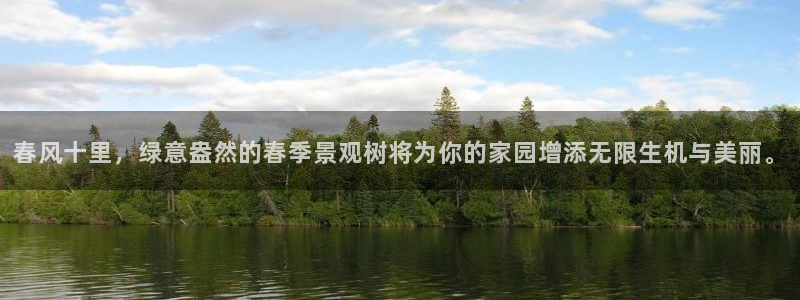 摩根大通旗下娱乐公司