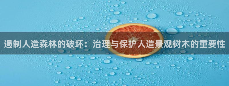 济宁摩根国际娱乐