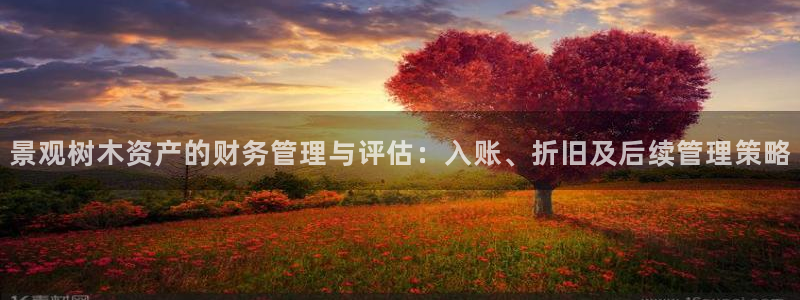 摩根娱乐50186叩杨