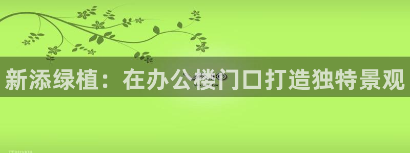 摩根娱乐宝口碑