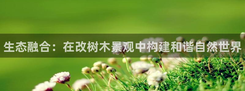 摩根娱乐1老o板50820