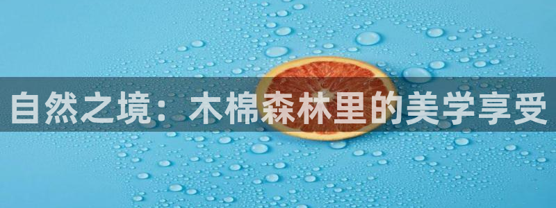 摩根娱乐宝是什么