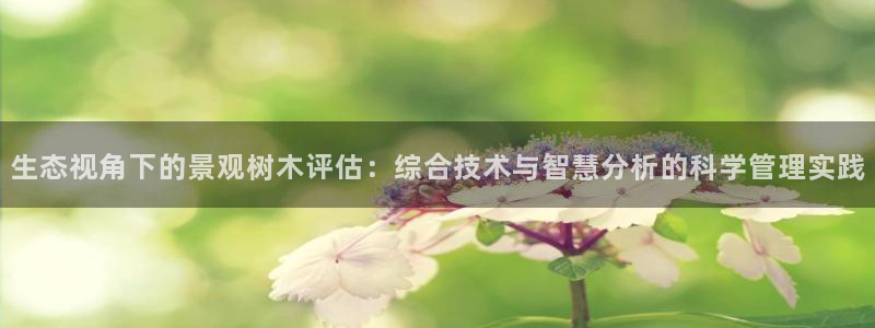 摩根娱乐代理