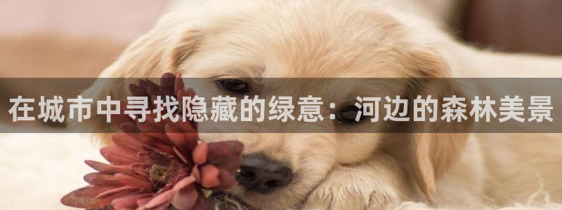 泉州摩根会娱乐