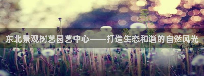 摩根娱乐是什么模式