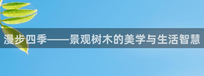 摩根大通收购娱乐公司