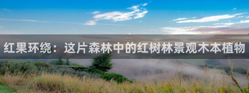 摩根娱乐宝k线图