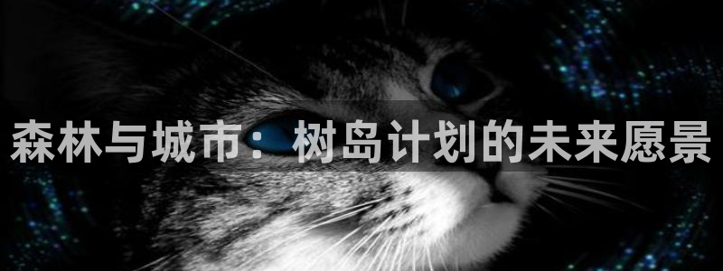 下载摩根国际娱乐宝