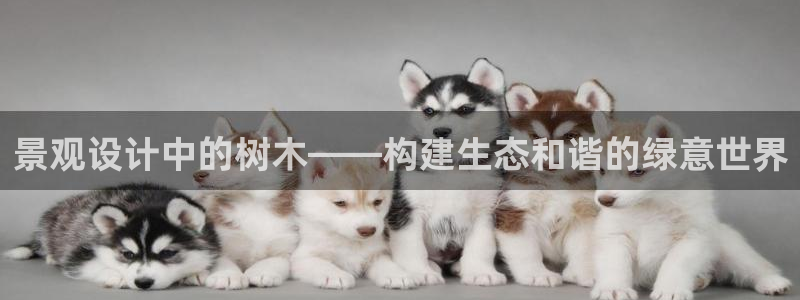 长春拉图摩根娱乐
