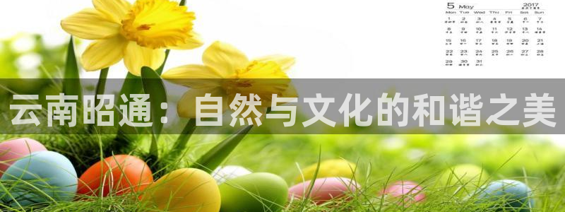 摩根娱乐彩票被骗了
