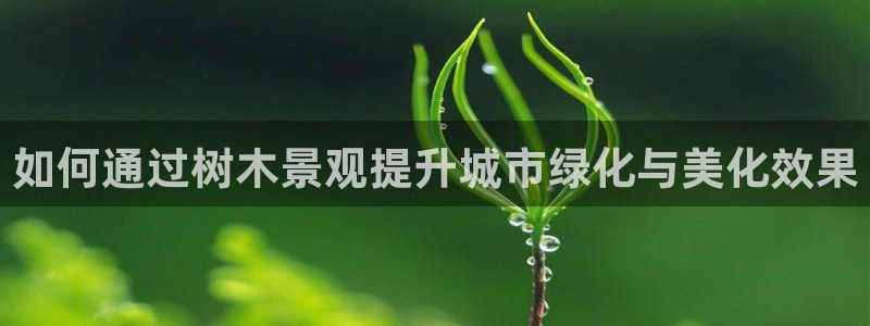 摩根娱乐宝