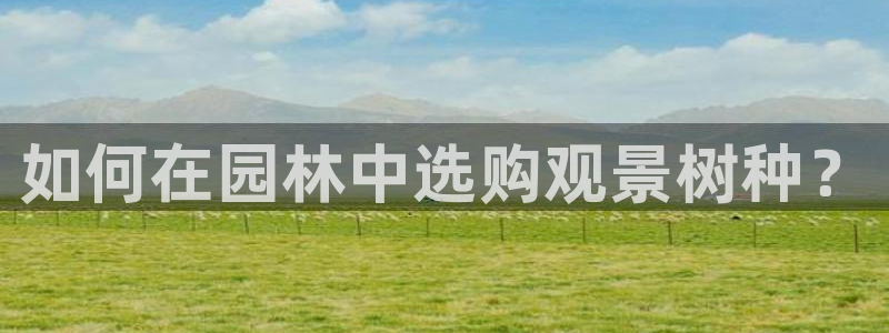 摩根娱乐宝.知道吗
