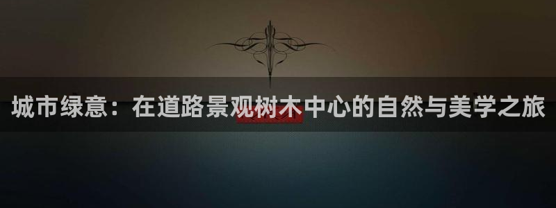 亚瑟摩根娱乐的地方