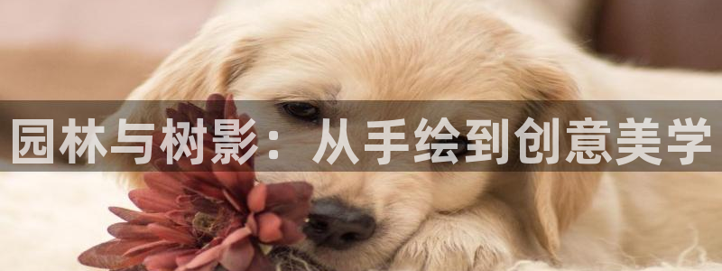 摩根娱乐宝-